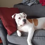 Damien Hill - Facebook