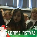 Damien Hogan - @hogan_damien - Instagram