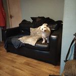 Damien Hooper - @damienhooper26 - Instagram