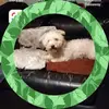 damienhooper0 - @damienhooper0 - TikTok