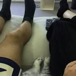 Damien Howell - @howelldamien - Instagram