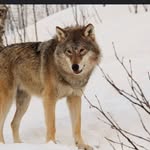 Damien Huffman - @damienhuffman8 - Instagram