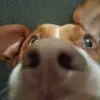 damienhuffman_ - @damienhuffman_ - TikTok
