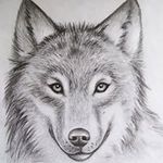 Damien Hunter - @nfg_hunter - Instagram