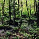 Damien Hunter - @damien.hunter27 - Instagram
