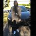 Damien Hunter - Facebook
