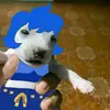Damien Hyde - @damien.hyde - TikTok