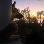 Damien Bellot - @damienkylebellot - Instagram