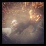 Damien Lamb - @its_lamby_179 - Instagram