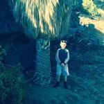 Damien Larkins - @damien.larkins.12 - Instagram