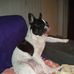 Damien Lasson - Facebook