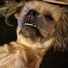 Damien_leckey - @damien_leckey - TikTok