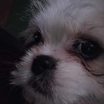 Damien Leckey - @damien_leckey - Instagram