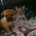 Damien Leckey - Facebook