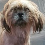Damien Leckey - @damienleckey - Instagram