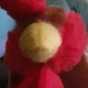 Damien Leckey - @damien.leckey - TikTok