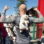 Damien Lemonnier - @damien.lemonnier - Instagram