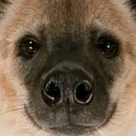 Damien Logan - @damien.logan.503 - Instagram