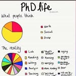 Damien Lowe - @hosposcholar - Instagram