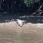 Damien Malone - @damien.malone.9889 - Instagram