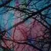 damienmarks761 - @damienmarks761 - TikTok