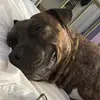 Damien May-Daily - @chalkeylikechalk - TikTok