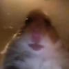 damienmccall3 - @damienmccall3 - TikTok