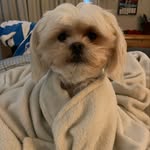 DamienMcG - @damienmcgrath - Instagram