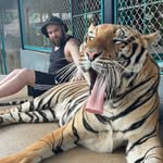 Damien monkman - @damienmonkman - Instagram