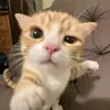 Damien Morris - @donks.6282 - TikTok