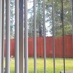 Damien Morris - @damien.morris.92351 - Instagram