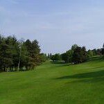 Damien Murray - @murradamien - Instagram