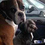 Damien Murray - @damien.murray.754 - Instagram