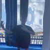 ⠀ ⠀ ⠀ ⠀ ⠀ ⠀ - @damienneff - TikTok