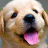 Damiennyembe - @31764470257 - TikTok