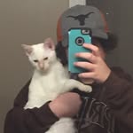 Damien - @_damien_nicholson - Instagram