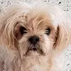 DamienOmen - @damientmi52 - TikTok
