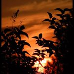 Damien J.S Page - @damienj.spage - Instagram