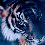 Damien Page - @damien.page.752 - Instagram