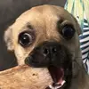 Damien Pearson - @damien.pearson22 - TikTok
