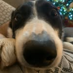 Damien Pearson - @damo2207 - Instagram