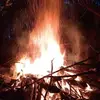 Damien Pearson - @damien.pearson37 - TikTok