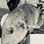 Damien TP - @damien_penaque - Instagram