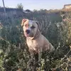 damienperrot5 - @damienperrot5 - TikTok