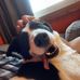 Damien Phillips - Facebook