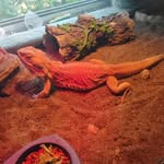 Damien potts - @damien_potts826 - Instagram