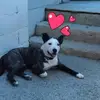 Damien Randjo - @damien.randjo - TikTok