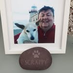 Damien Rock - @damienrock - Instagram