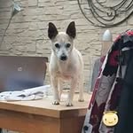 Damien Rock - @damroc46 - Instagram