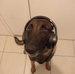 Damien Roth - Facebook
